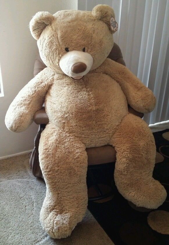 human size teddy bear lazada