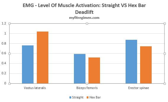 Muscle Activation Chart