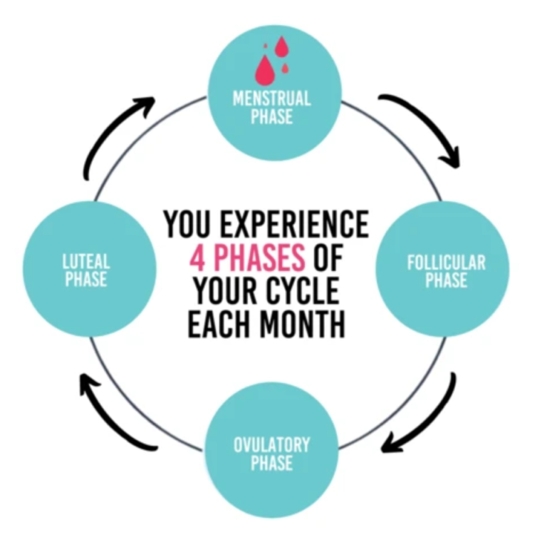 Training During the Female Athlete Menstrual Cycle - Erica Suter